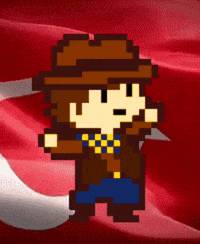 Turkey Kebab GIF