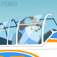6 7 Penguin GIF by Pudgy Penguins