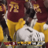 Green Bay Packers GIF