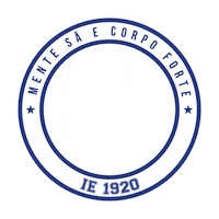 Iecolegio Sticker by IE Passo Fundo - Instituto Educacional