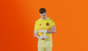 Season 20 Soccer GIF by Houston Dynamo FC