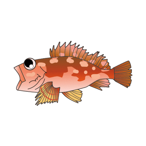 Fish 魚 Sticker by magbite