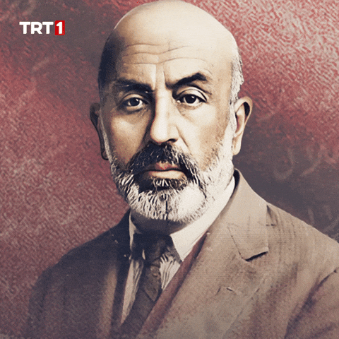 History Turkey GIF by TRT