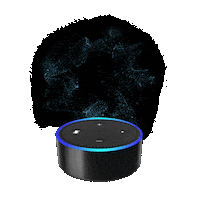 Echo Alexa Sticker by Select Radio