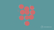 Animation Numbers GIF by The Explainer Studio