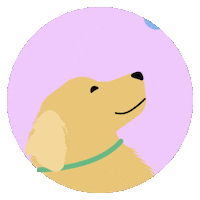 Sticker by Doghotels