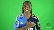 enea GIF by SE Palmeiras