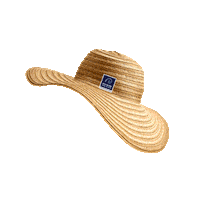 Chapeau De Paille Sticker by Envie de salle de bain
