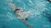 pool swimming GIF by GreenWave