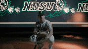 Ndsu Baseball GIF by NDSU Athletics