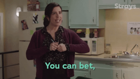 GIF by Strays