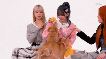 Puppy attack