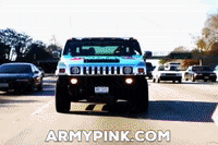 Los Angeles Girl GIF by ArmyPink