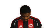 Look Up Eintracht Frankfurt Sticker by Bundesliga