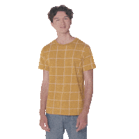 Diary Of A Future President Sticker by Disney+