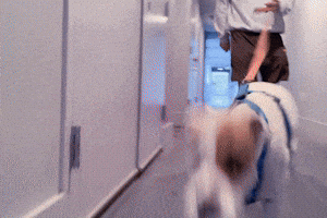 Let's go on a walk! Yeah buddy!