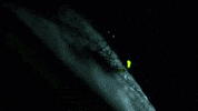 summer glow GIF by Science Friday