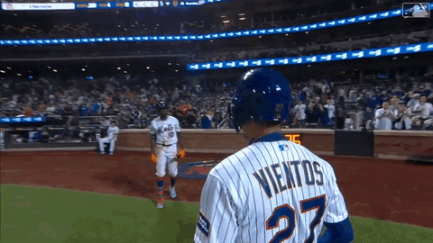 Excited Ny Mets GIF by New York Mets