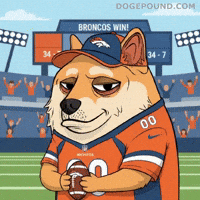 Shiba Inu Win GIF by Doge Pound