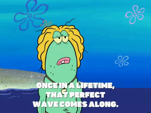 season 6 GIF by SpongeBob SquarePants