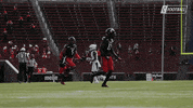 College Football Celebration GIF by Cincinnati Bearcats