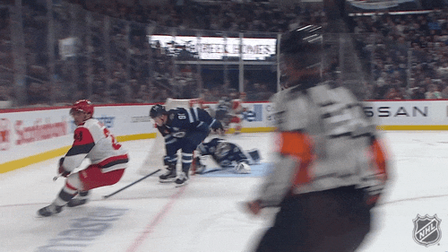Happy Carolina Hurricanes GIF by NHL