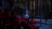 christmas movies gremlins GIF