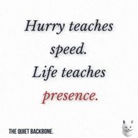 Slow Down Focus GIF