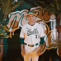 South Florida Baseball GIF by USF Athletics