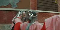 season 1 the hot zone show GIF by National Geographic Channel