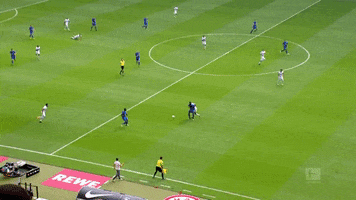 vflwolfsburg goal bundesliga wolfsburg vfl wolfsburg GIF