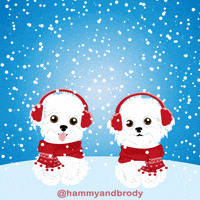 Merry Christmas Dog GIF by HammyandBrody