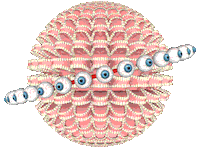Trippy GIF by badblueprints