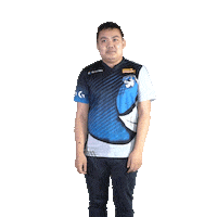 Red Bull Esports Sticker by mYinsanity