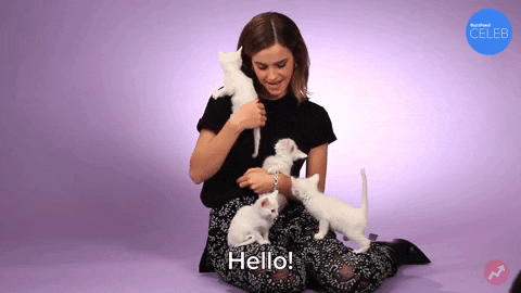 Emma Watson Hello GIF by BuzzFeed