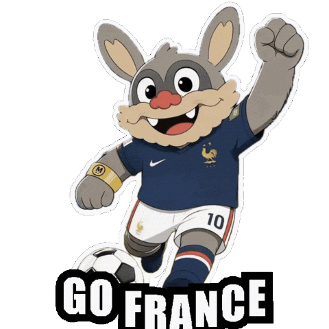 France Win Sticker