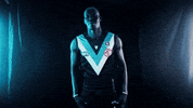 Aussie Rules Flex GIF by Port Adelaide FC