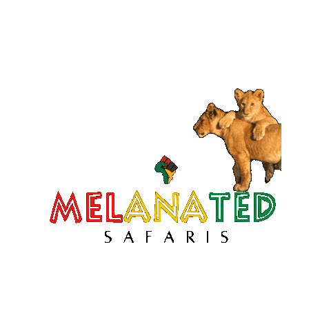 MelanatedSafaris giphygifmaker lion africa tanzania Sticker