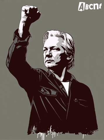 Edward Snowden Freedom GIF by ABCNT