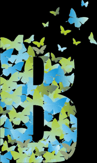 Agencia Redes Sociales GIF by Romate