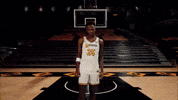 Ncaa Basketball GIF by Mizzou Athletics