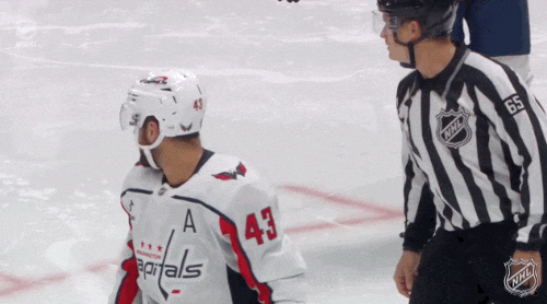 Washington Capitals Smile GIF by NHL