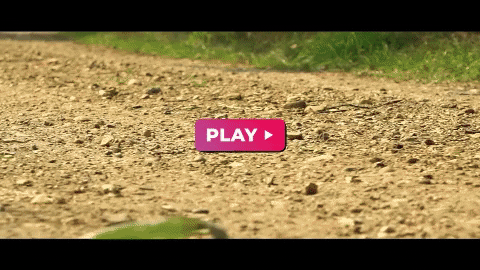 GIF by Emolife