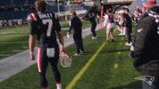Happy Lets Go GIF by New England Patriots