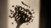 water physics GIF by ewanjonesmorris