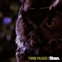 twin peaks GIF by Stan.