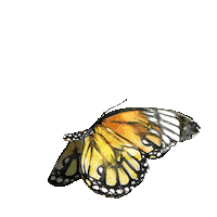 Sticker by Manufaktura_cz