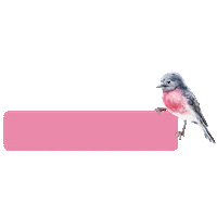 News Bird Sticker by Manufaktura_cz