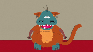 What Did You Expect?