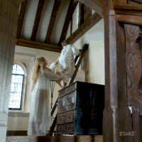season 1 starz GIF by The White Princess
